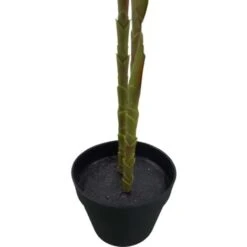 Pianta Foglia Calla 120cm -Negozio al dettaglio Piante Casa 88143843 3