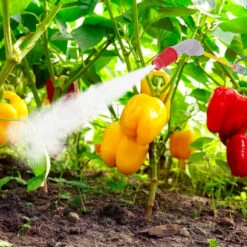 Spruzzatore A Pressione Da 5 Litri Azionamento A Pompa Manuale Irroratore Tubo E Lancia Tracolla Zaino Da Giardino Con Ugello Regolabile Per Irrigazione Nebulizzatore Colore Bianco E Verde -Negozio al dettaglio Piante Casa 88507448 3