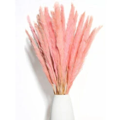 BIANCO DI LUSSO - Erba Di Pampa Piccola Come Fiori Secchi UN Colpo D'occhio - Erba Di Pampa Secca Eterna Per La Decorazione Di Fiori Secchi - Erba Di Pampa E Decorazione Di Fiori Secchi - Vaso Per Bou -Negozio al dettaglio Piante Casa 91189812 3