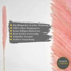 BIANCO DI LUSSO - Erba Di Pampa Piccola Come Fiori Secchi UN Colpo D'occhio - Erba Di Pampa Secca Eterna Per La Decorazione Di Fiori Secchi - Erba Di Pampa E Decorazione Di Fiori Secchi - Vaso Per Bou -Negozio al dettaglio Piante Casa 91189812 4