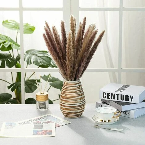 Erba Di Pampa Essiccata - Mazzo Di Fiori Secchi Di Erba Di Canne Di Piume Naturali Da 30 Pezzi Per La Decorazione Della Festa Nuziale Della Cucina Fai-da-te 2 Erba Di Pampa Essiccata - Mazzo Di Fiori Secchi Di Erba Di Canne Di Piume Naturali Da 30 Pezzi Per La Decorazione Della Festa Nuziale Della Cucina Fai-da-te - immagine 2