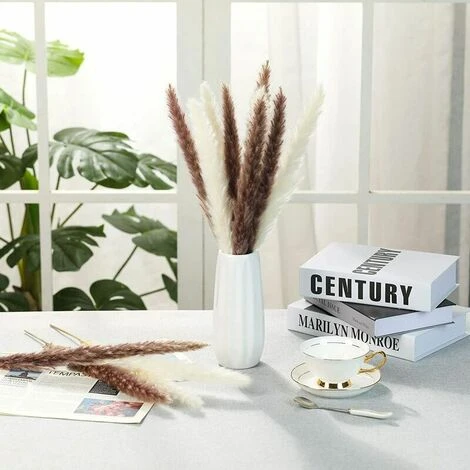 Erba Di Pampa Essiccata - Mazzo Di Fiori Secchi Di Erba Di Canne Di Piume Naturali Da 30 Pezzi Per La Decorazione Della Festa Nuziale Della Cucina Fai-da-te 4 Erba Di Pampa Essiccata - Mazzo Di Fiori Secchi Di Erba Di Canne Di Piume Naturali Da 30 Pezzi Per La Decorazione Della Festa Nuziale Della Cucina Fai-da-te - immagine 4