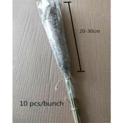 20 Pezzi Di Erba Di Pampas Secca Piccola Decorazione Naturale Phragmites Communis Bouquet Di Fiori Da Sposa Reale 7 20 Pezzi Di Erba Di Pampas Secca Piccola Decorazione Naturale Phragmites Communis Bouquet Di Fiori Da Sposa Reale -Negozio al dettaglio Piante Casa 91191597 3