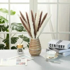 Erba Di Pampa Essiccata - Mazzo Di Fiori Secchi Di Erba Di Canne Di Piume Naturali Da 30 Pezzi Per La Decorazione Della Festa Nuziale Della Cucina Fai-da-te -Negozio al dettaglio Piante Casa 91194099 4