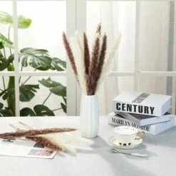 Erba Di Pampa Essiccata - Mazzo Di Fiori Secchi Di Erba Di Canne Di Piume Naturali Da 30 Pezzi Per La Decorazione Della Festa Nuziale Della Cucina Fai-da-te -Negozio al dettaglio Piante Casa 91194099 5