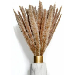 BIANCO DI LUSSO - Erba Di Pampa Piccola Come Fiori Secchi UN Colpo D'occhio - Erba Di Pampa Secca Eterna Per La Decorazione Di Fiori Secchi - Decorazione Di Erba Di Pampa E Fiori Secchi - Vaso Per Bou -Negozio al dettaglio Piante Casa 91195714 3