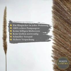 BIANCO DI LUSSO - Erba Di Pampa Piccola Come Fiori Secchi UN Colpo D'occhio - Erba Di Pampa Secca Eterna Per La Decorazione Di Fiori Secchi - Decorazione Di Erba Di Pampa E Fiori Secchi - Vaso Per Bou -Negozio al dettaglio Piante Casa 91195714 5