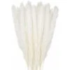 30pcs Pampas Grass 45cm Fiori Di Pampas Naturali Bouquet Di Fiori Secchi Per Vasi Bianco Boho Decor Camera Da Letto Casa Soggiorno Centrotavola Fotografia Di Matrimonio Centrotavola