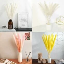 30pcs Pampas Grass 45cm Fiori Di Pampas Naturali Bouquet Di Fiori Secchi Per Vasi Bianco Boho Decor Camera Da Letto Casa Soggiorno Centrotavola Fotografia Di Matrimonio Centrotavola -Negozio al dettaglio Piante Casa 91731676 4