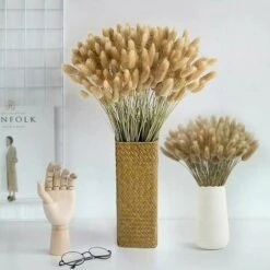 50pcs Fiori Secchi Naturali Erba Di Pampa, Mazzo Di Erba Di Coda Di Coniglio Per La Decorazione Della Casa Di Nozze Della Camera Da Letto Interna 7 50pcs Fiori Secchi Naturali Erba Di Pampa, Mazzo Di Erba Di Coda Di Coniglio Per La Decorazione Della Casa Di Nozze Della Camera Da Letto Interna -Negozio al dettaglio Piante Casa 92052502 3