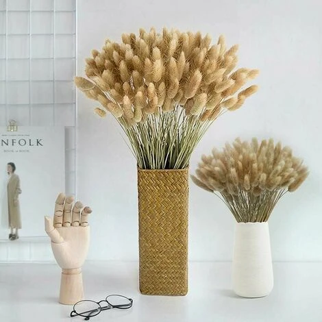 50pcs Fiori Secchi Naturali Erba Di Pampa, Mazzo Di Erba Di Coda Di Coniglio Per La Decorazione Della Casa Di Nozze Della Camera Da Letto Interna 3 50pcs Fiori Secchi Naturali Erba Di Pampa, Mazzo Di Erba Di Coda Di Coniglio Per La Decorazione Della Casa Di Nozze Della Camera Da Letto Interna - immagine 3