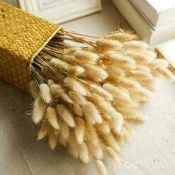50pcs Fiori Secchi Naturali Erba Di Pampa, Mazzo Di Erba Di Coda Di Coniglio Per La Decorazione Della Casa Di Nozze Della Camera Da Letto Interna 8 50pcs Fiori Secchi Naturali Erba Di Pampa, Mazzo Di Erba Di Coda Di Coniglio Per La Decorazione Della Casa Di Nozze Della Camera Da Letto Interna -Negozio al dettaglio Piante Casa 92052502 4