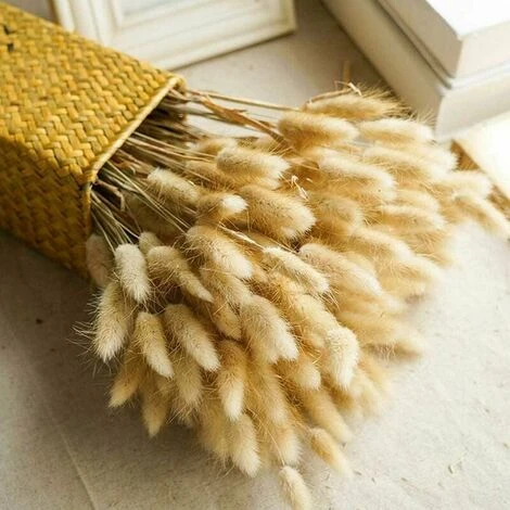 50pcs Fiori Secchi Naturali Erba Di Pampa, Mazzo Di Erba Di Coda Di Coniglio Per La Decorazione Della Casa Di Nozze Della Camera Da Letto Interna 4 50pcs Fiori Secchi Naturali Erba Di Pampa, Mazzo Di Erba Di Coda Di Coniglio Per La Decorazione Della Casa Di Nozze Della Camera Da Letto Interna - immagine 4