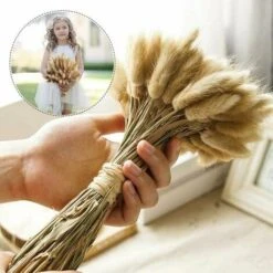 50pcs Fiori Secchi Naturali Erba Di Pampa, Mazzo Di Erba Di Coda Di Coniglio Per La Decorazione Della Casa Di Nozze Della Camera Da Letto Interna 9 50pcs Fiori Secchi Naturali Erba Di Pampa, Mazzo Di Erba Di Coda Di Coniglio Per La Decorazione Della Casa Di Nozze Della Camera Da Letto Interna -Negozio al dettaglio Piante Casa 92052502 5