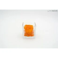 Cubo Fondo Pietra Con Rosa Cm 8x8 - Arancio