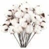 Confezione Da 40 Fiori Di Cotone Naturale Fiori Secchi Stelo Di Cotone Fiore Naturale Rami Di Cotone Finto Piante Finte Decorazione Domestica