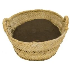 CULTIVERS Blood Meal 5 Kg. Fertilizzante Organico Ad Alto Contenuto Di Azoto, Ferro Emico E Materia Organica. Fertilizzante Naturale Attivatore Di Crescita Per Colture -Negozio al dettaglio Piante Casa 93582183 3