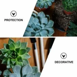 1 Set Cloche Da Giardino Cupola Per Piante Copertura Per Cloche Copertura Per Protezioni Per Piante In Plastica Copertura Per Cupola Per Serra Per Accessori Per Attrezzi Da Giardinaggio -Negozio al dettaglio Piante Casa 95703708 4