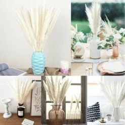 Erba Di Pampa, Erba Di Pampa Essiccata Naturalmente Deco Erba Di Pampa Phragmites Communis Bouquet Di Fiori Essiccati Decorazione Per Soggiorno Casa Fotografia Hotel Matrimonio (bianco) -Negozio al dettaglio Piante Casa 95750181 4