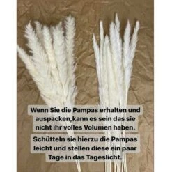 Erba Di Pampa, Erba Di Pampa Essiccata Naturalmente Deco Erba Di Pampa Phragmites Communis Bouquet Di Fiori Essiccati Decorazione Per Soggiorno Casa Fotografia Hotel Matrimonio (bianco) -Negozio al dettaglio Piante Casa 95750181 5