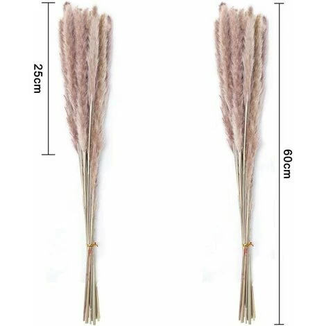 GTA 30 Pz Pampas Grass, 60 Cm Natural Pampas Flower Bouquet Di Fiori Essiccati Per Vasi, Decorazione Boho Camera Da Letto Casa Soggiorno, Fotografia Di Matrimonio Decorazione Da Tavola 2 GTA 30 Pz Pampas Grass, 60 Cm Natural Pampas Flower Bouquet Di Fiori Essiccati Per Vasi, Decorazione Boho Camera Da Letto Casa Soggiorno, Fotografia Di Matrimonio Decorazione Da Tavola - immagine 2