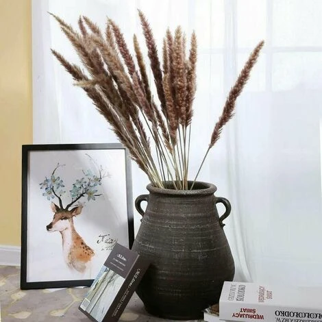 GTA 30 Pz Pampas Grass, 60 Cm Natural Pampas Flower Bouquet Di Fiori Essiccati Per Vasi, Decorazione Boho Camera Da Letto Casa Soggiorno, Fotografia Di Matrimonio Decorazione Da Tavola 5 GTA 30 Pz Pampas Grass, 60 Cm Natural Pampas Flower Bouquet Di Fiori Essiccati Per Vasi, Decorazione Boho Camera Da Letto Casa Soggiorno, Fotografia Di Matrimonio Decorazione Da Tavola - immagine 5