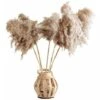 12PCS Pampas Flower Fiori Secchi Naturali Pampas Canne Essiccate Erba Di Pampas Essiccata Phragmites Decorazione Per Matrimoni E Fotografia Home Party
