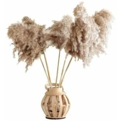 12PCS Pampas Flower Fiori Secchi Naturali Pampas Canne Essiccate Erba Di Pampas Essiccata Phragmites Decorazione Per Matrimoni E Fotografia Home Party