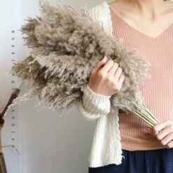 12PCS Pampas Flower Fiori Secchi Naturali Pampas Canne Essiccate Erba Di Pampas Essiccata Phragmites Decorazione Per Matrimoni E Fotografia Home Party -Negozio al dettaglio Piante Casa 95787542 4