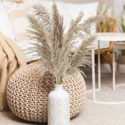 12PCS Pampas Flower Fiori Secchi Naturali Pampas Canne Essiccate Erba Di Pampas Essiccata Phragmites Decorazione Per Matrimoni E Fotografia Home Party -Negozio al dettaglio Piante Casa 95787542 5