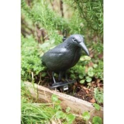 Esschert Design FY18 - Spaventapasseri, 12,9 X 36,2 X 22,2 Cm, Colore: Nero -Negozio al dettaglio Piante Casa 95816212 3