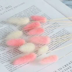 LITZEE Fiori Secchi 60pcs Fiori Secchi Naturali Decorazioni Per La Casa Di Animali Di Peluche Colorati (Blu) -Negozio al dettaglio Piante Casa 96301058 4