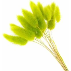 LITZEE Fiori Secchi 60pcs Fiori Secchi Naturali Decorazioni Per La Casa Di Animali Di Peluche Colorati (Blu) -Negozio al dettaglio Piante Casa 96301058 5