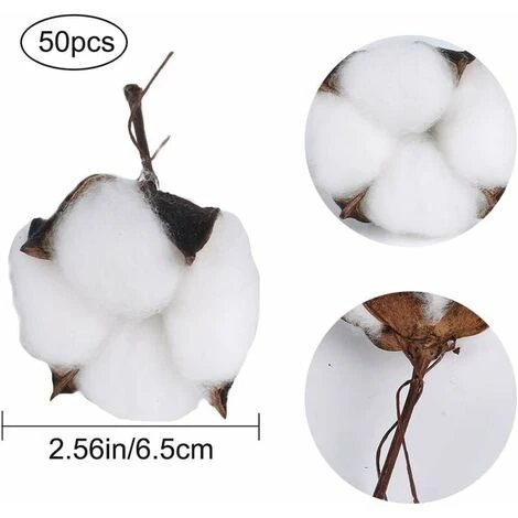 Fiore Di Cotone Naturale Testa Di Fiore Secco Decorazione Di Cotone Bianco Con Gambo Corto Per Inverno Natale Ghirlanda Di Nozze Artigianato Fai Da Te Regalo Per Casa Stile Fattoria 6,5 Cm 50 Pezzi 2 Fiore Di Cotone Naturale Testa Di Fiore Secco Decorazione Di Cotone Bianco Con Gambo Corto Per Inverno Natale Ghirlanda Di Nozze Artigianato Fai Da Te Regalo Per Casa Stile Fattoria 6,5 Cm 50 Pezzi - immagine 2