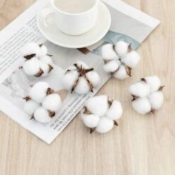 Fiore Di Cotone Naturale Testa Di Fiore Secco Decorazione Di Cotone Bianco Con Gambo Corto Per Inverno Natale Ghirlanda Di Nozze Artigianato Fai Da Te Regalo Per Casa Stile Fattoria 6,5 Cm 50 Pezzi 7 Fiore Di Cotone Naturale Testa Di Fiore Secco Decorazione Di Cotone Bianco Con Gambo Corto Per Inverno Natale Ghirlanda Di Nozze Artigianato Fai Da Te Regalo Per Casa Stile Fattoria 6,5 Cm 50 Pezzi -Negozio al dettaglio Piante Casa 98117443 3
