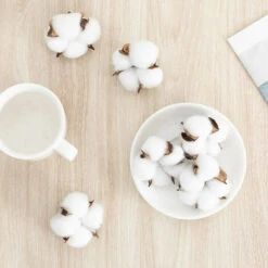 Fiore Di Cotone Naturale Testa Di Fiore Secco Decorazione Di Cotone Bianco Con Gambo Corto Per Inverno Natale Ghirlanda Di Nozze Artigianato Fai Da Te Regalo Per Casa Stile Fattoria 6,5 Cm 50 Pezzi 8 Fiore Di Cotone Naturale Testa Di Fiore Secco Decorazione Di Cotone Bianco Con Gambo Corto Per Inverno Natale Ghirlanda Di Nozze Artigianato Fai Da Te Regalo Per Casa Stile Fattoria 6,5 Cm 50 Pezzi -Negozio al dettaglio Piante Casa 98117443 4